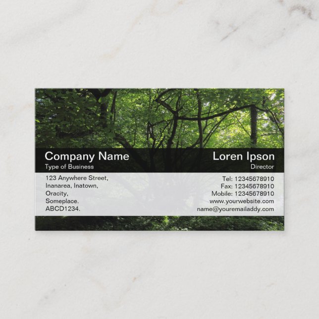 Color Band - Black - Trees by a River Business Card (Front)