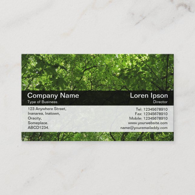 Color Band - Black - Woodland Canopy Business Card (Front)