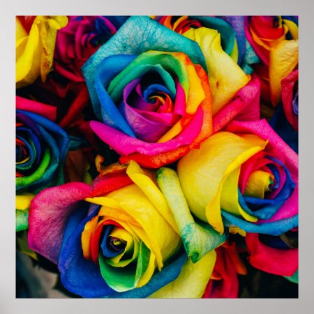 Color Beautiful Roses Poster
