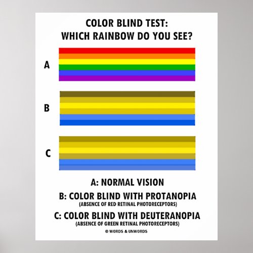 Color Blind Test Which Rainbow Do You See Poster