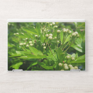 color, blossom, nature, floral, flower, bloom, HP laptop skin