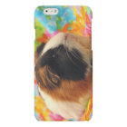 Color Burst Guinea Pig Cell Phone Case