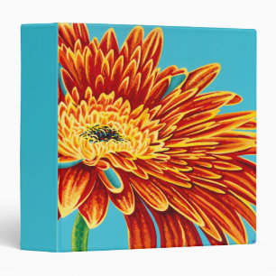 Color Bursts I 3 Ring Binder