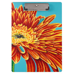 Color Bursts I Clipboard