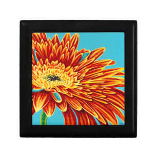 Color Bursts I Gift Box