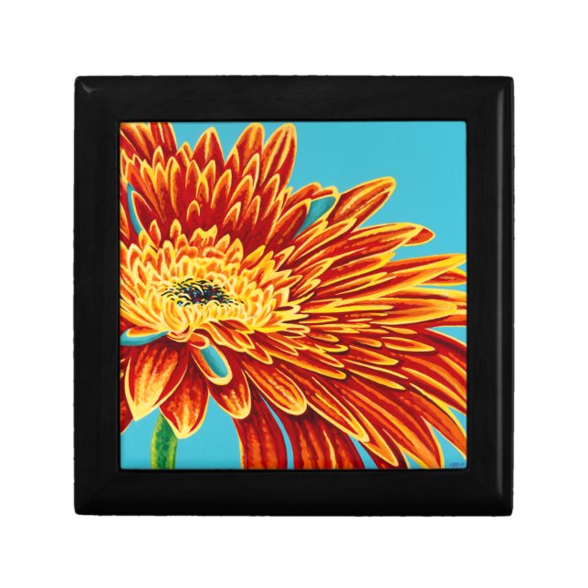 Color Bursts I Gift Box (Front)