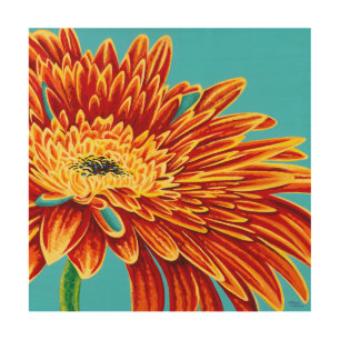 Color Bursts I Wood Wall Art