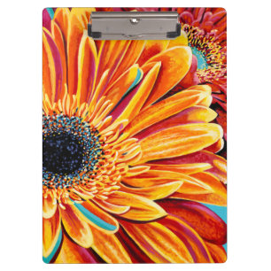 Color Bursts II Clipboard