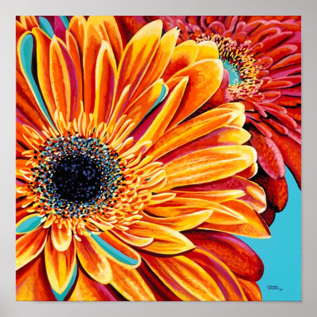 Color Bursts II Poster (Front)