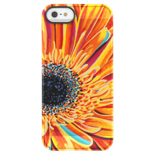 Color Bursts II Permafrost iPhone SE/5/5s Case