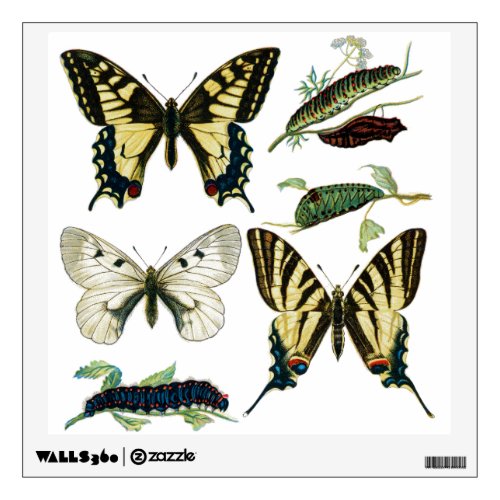 Color Butterflies and Caterpillars Diagram Wall Sticker