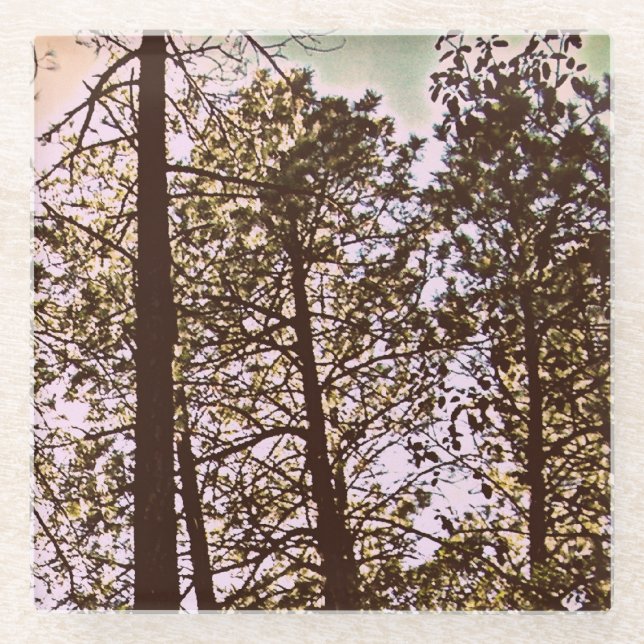 Color by the trees glass coaster (Front)
