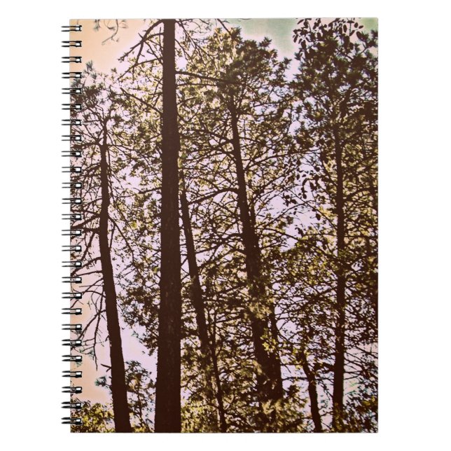 color by the trees notebook (Front)