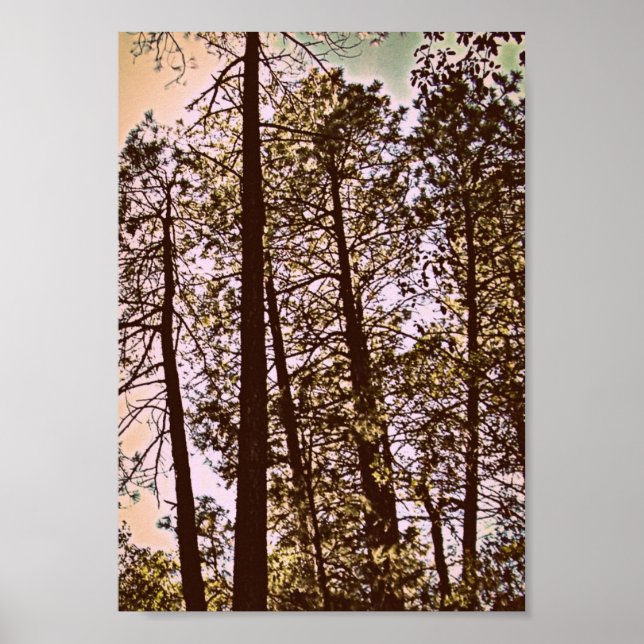 color by the trees poster (Front)