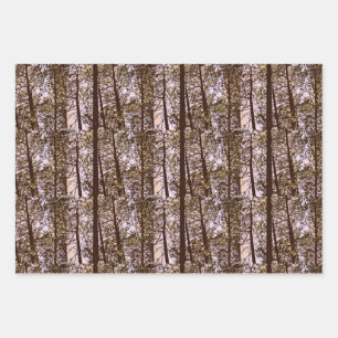 Color by the trees wrapping paper sheets