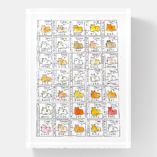 Color Cats Learn Meow Several Various Languages Paperweight