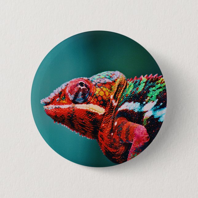 Color Changing Rainbow Chameleon Reptile Button (Front)