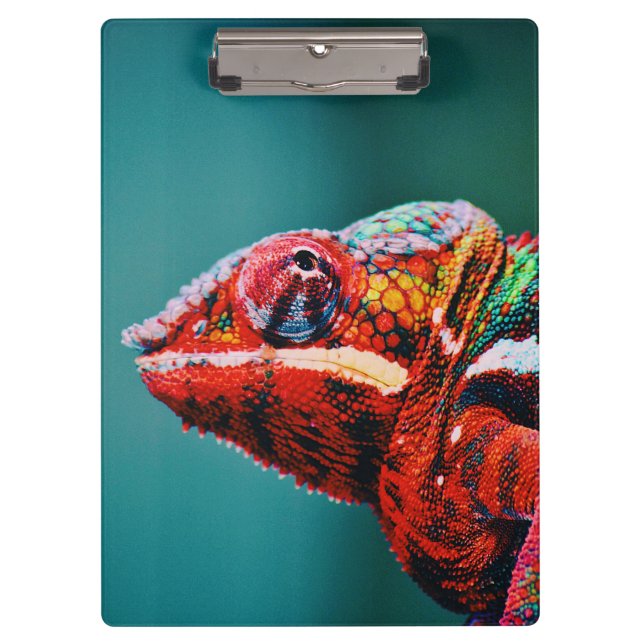 Color Changing Rainbow Chameleon Reptile Clipboard (Front)