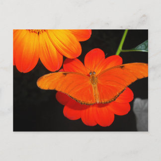 color co ordinated postcard