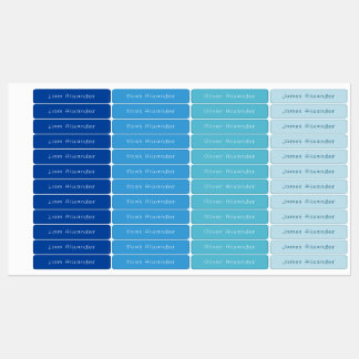 Color Coded Boy Blue and Turquoise Waterproof Kids' Labels