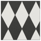 Color Customizable Harlequin Fabric