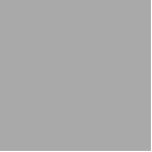 color dark grey cutout<br><div class="desc">color dark grey A9A9A9</div>