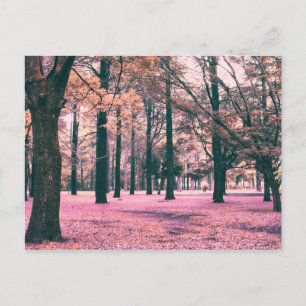 Color effected trees in Yoyogi Park in Tokyo. Postcard