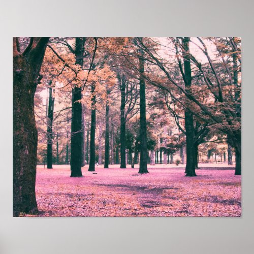 Color effected trees in Yoyogi Park in Tokyo Poster