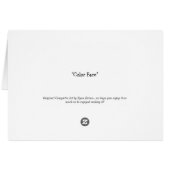 Color Face (Back Horizontal)