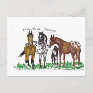 Color For All Seasons Postcard