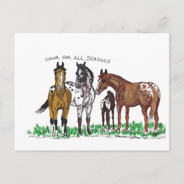 Color For All Seasons Postcard (Front)