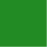 color forest green cutout<br><div class="desc">color forest green 228B22</div>