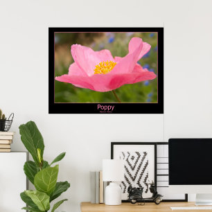 Color Framed Pink Poppy Photograph Close-up Poster