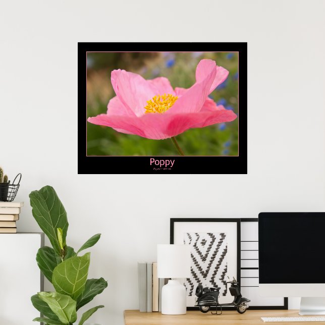 Color Framed Pink Poppy Photograph Close-up Poster (Home Office)