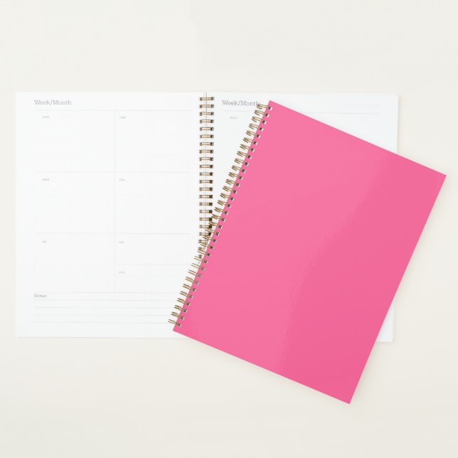 color French pink Planner (Display)