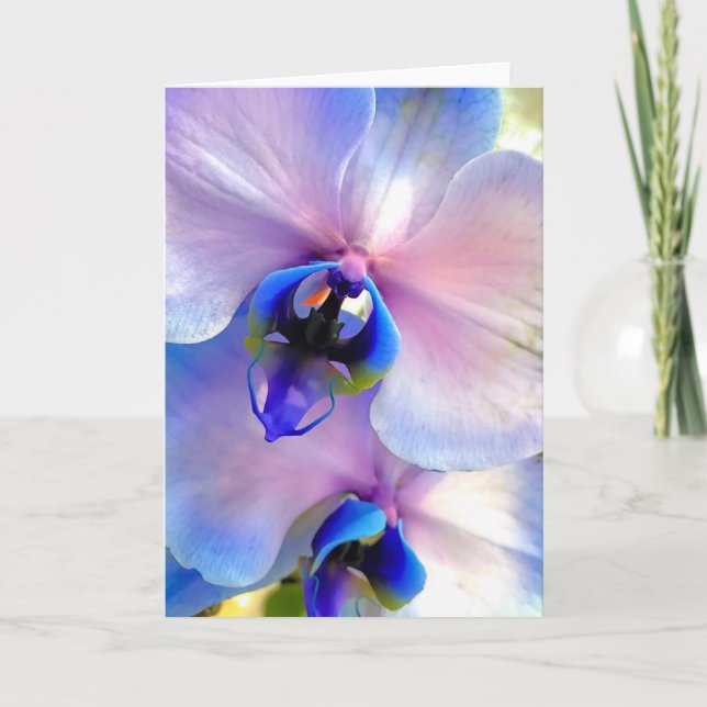 Color fused orchids card (Front)