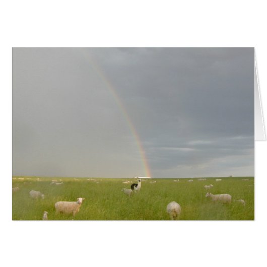 Color Guard card (Front Horizontal)