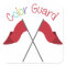 Color Guard
