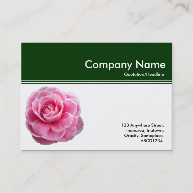 Color Header III - Pink Camellia - Dark Green Business Card (Front)