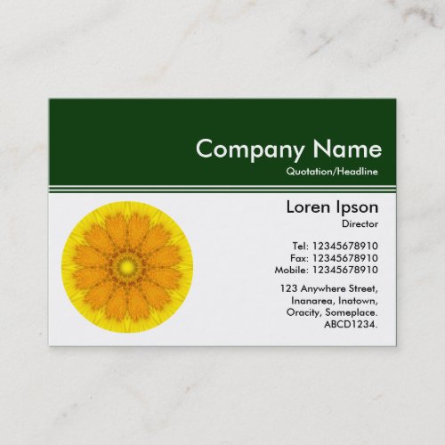 Color Header III v2 _ Dk Green _ Kaliedoscope Business Card