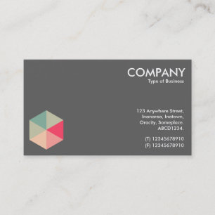 Color Hexagon 04 - White on Gray Business Card