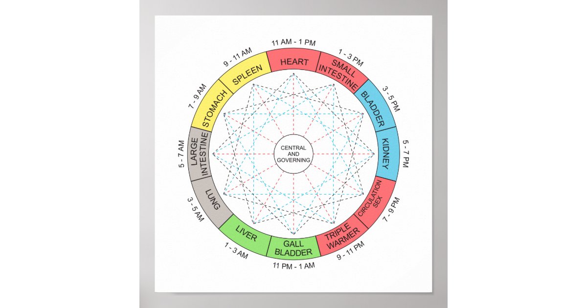 Color Horary Cycle Acupuncture Art Poster Zazzle