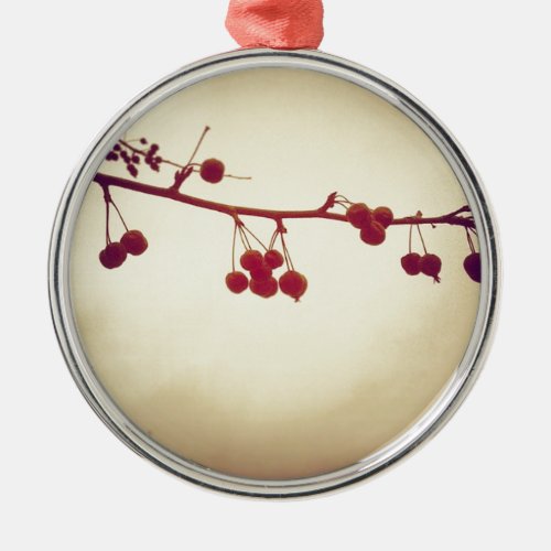 Color in a dreary winter day metal ornament