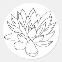 color in your own stickers - succulents