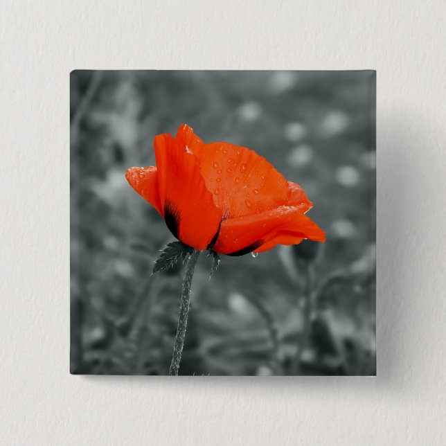 Color key Poppy Button (Front)