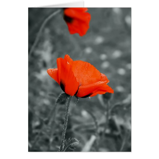 Color key Poppy Card (Front)