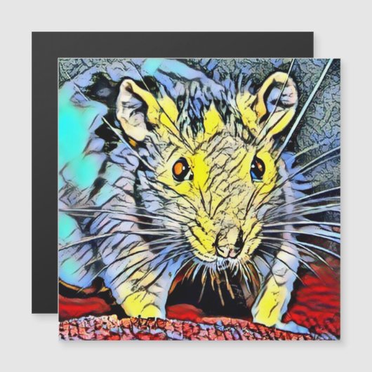 Color Kick - Rat (Front/Back)