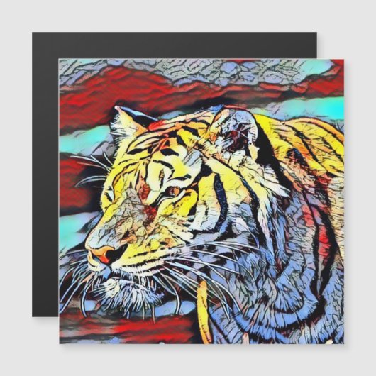 Color Kick - Tiger (Front/Back)