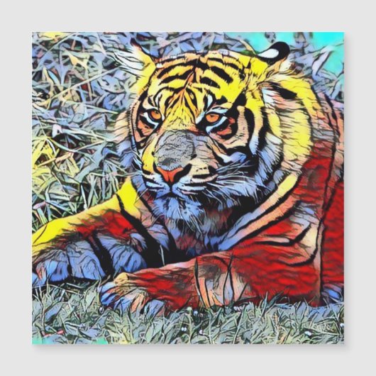 Color Kick - Tiger 2 (Front)