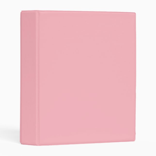 color light pink mini binder (Front/Spine)